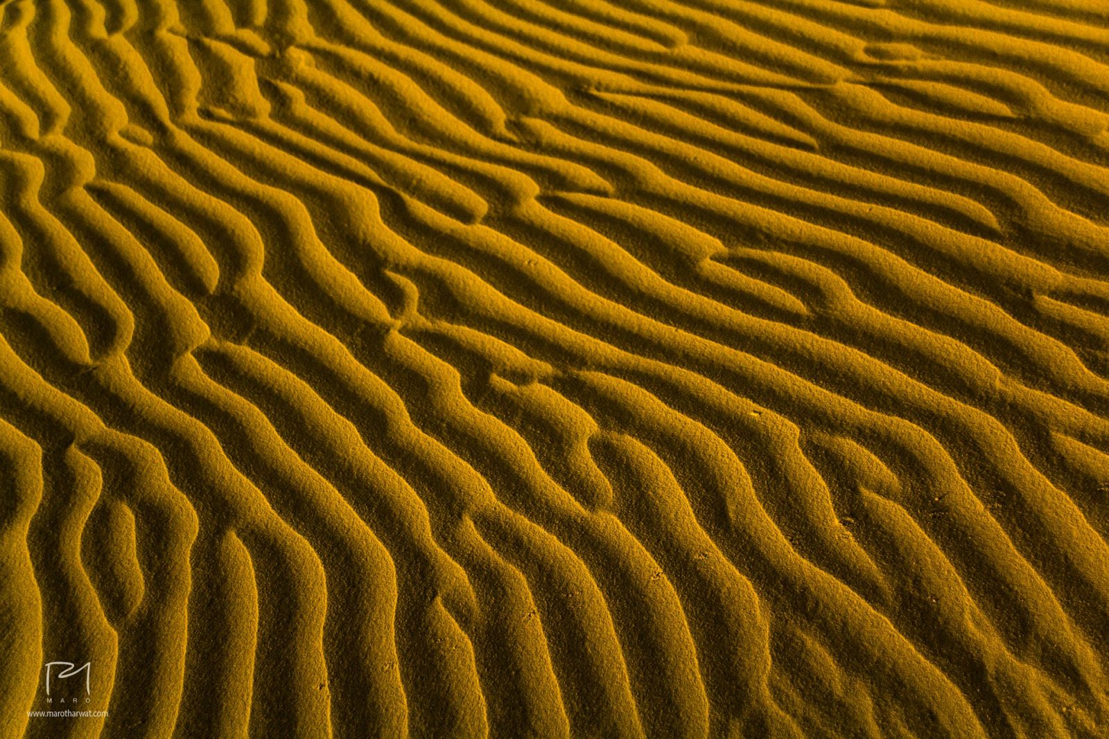 Sahara waves ‏ - Maro Tharwat - Photography
